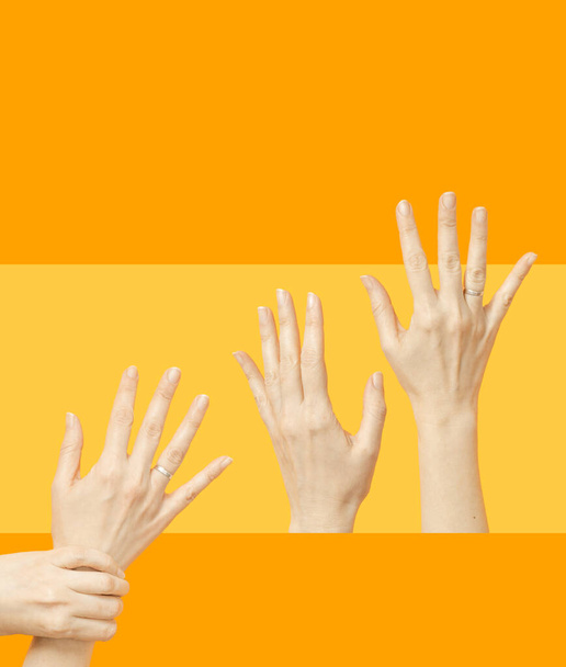 Dva páry ženských rukou natahují ruce a zvedají je. Žluté a oranžové abstraktní pozadí. Ruce zvednuté do vzduchu. Minimální koncepce. - Fotografie, Obrázek