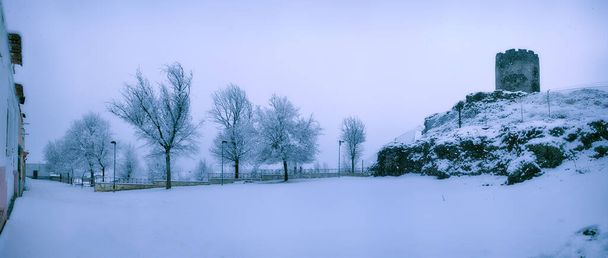 paisaje nevado invernal con arboles en clave alta - Fotó, kép