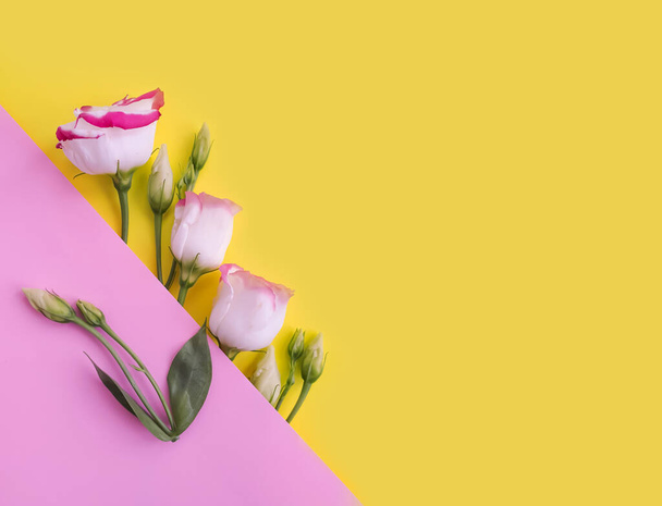 flor de eustoma sobre un fondo de color creativo - Foto, Imagen