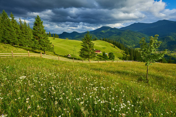 Идиллический пейзаж в Альпах со свежими зелеными лугами и цветущими цветами и заснеженными горными вершинами на заднем плане - Фото, изображение