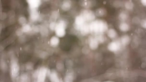 Snowy day. Blurred winter background. Snow dream. Winter cold - Footage, Video