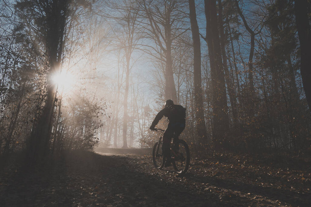 太陽の光が霧の中を輝いて、壮大な瞬間に乗って1つの山のバイカーは、太陽に向かって上り坂行く。エピックMTBライド. - 写真・画像