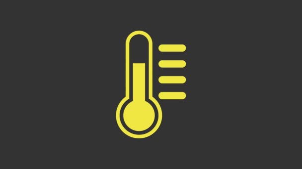 灰色の背景に隔離された黄色の温度計アイコン。4Kビデオモーショングラフィックアニメーション - 映像、動画