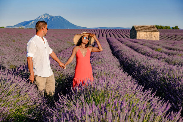 Provence, Champ de lavande au coucher du soleil, Plateau Valensole Provence France champs de lavande en fleurs - Photo, image