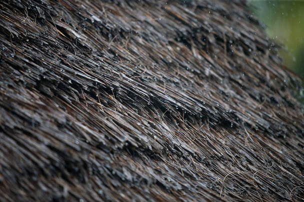 Tropical raindrops on a reed roof - Photo, Image