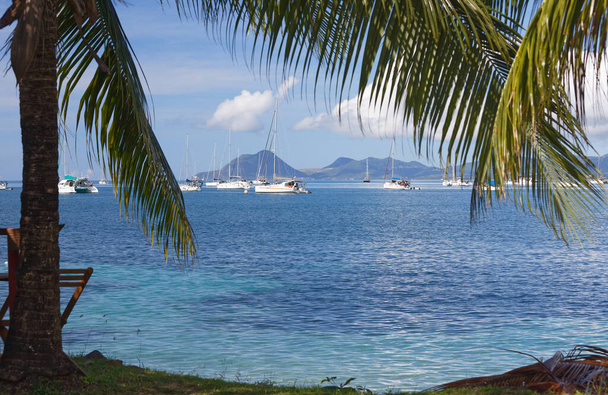 La spiaggia caraibica, isola della Martinica, Indie occidentali francesi - Foto, immagini