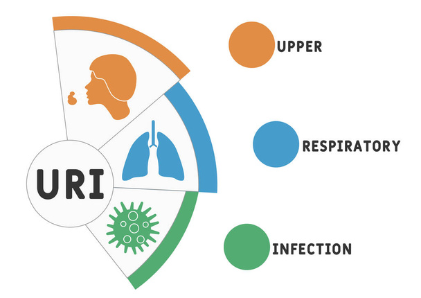 URI - Upper Respiratory Infection acronym. medical concept background.  vector illustration concept with keywords and icons. lettering illustration with icons for web banner, flyer, landing page - Vector, Image