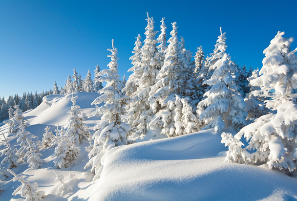 Winter mountain landscape - Fotó, kép