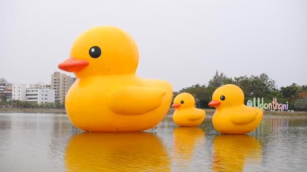 Udon Thani, Thailand - January 30, 2021: Three Floating Giant yellow rubber ducks in the lake of Udon thani province, Thailand - Footage, Video