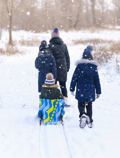 οικογενειακά παιχνίδια και βόλτες με έλκηθρο στο χειμερινό υπαίθριο, μητέρα και παιδιά που διασκεδάζουν στο χιονισμένο χειμώνα - Φωτογραφία, εικόνα