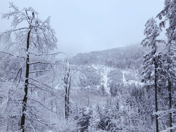 Berglandschaft bei strengen Winterbedingungen im Sudetengebirge (Waligora und Sowie, Polen) - Foto, Bild