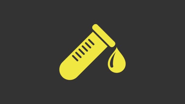 Keltainen koeputki tai pullo, jossa on harmaalla pohjalla veripisara. Laboratorio, kemiallinen, tieteellinen lasitavara merkki. 4K Video motion graafinen animaatio - Materiaali, video