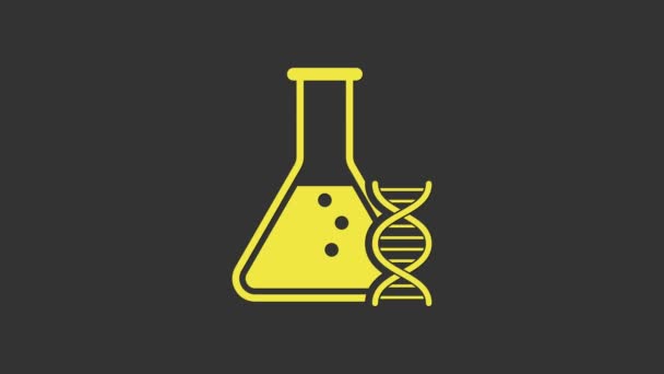 Recherche ADN jaune, icône de recherche isolée sur fond gris. Génie génétique, tests génétiques, clonage, tests de paternité. Animation graphique de mouvement vidéo 4K - Séquence, vidéo