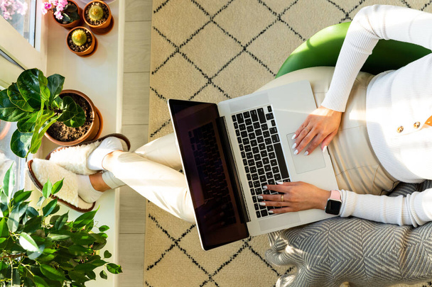 Woman sitting on armchair and putting your feet on the windowsill with houseplants in flower pot, works on laptop at home during self-isolation. Business from home. Top view. - Photo, Image