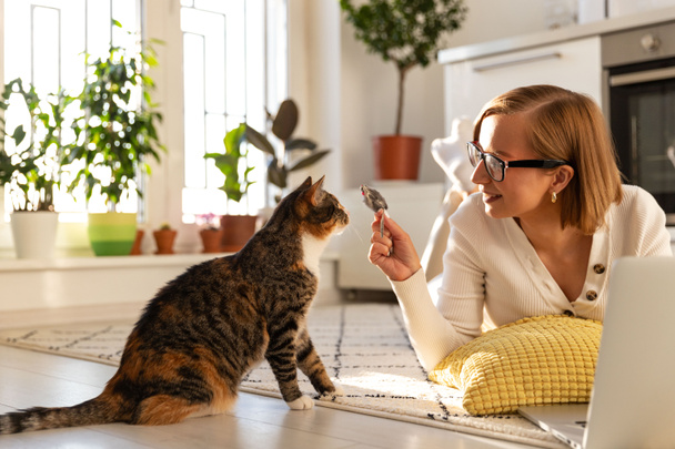Lächelnde Freiberuflerin liegt auf dem Teppich im Wohnzimmer, spielt zu Hause mit Katze und Spielzeugmaus und arbeitet während der Sperrung wegen Coronavirus am Laptop. Quarantäne, Selbstisolierung, Liebe zu Haustieren. - Foto, Bild