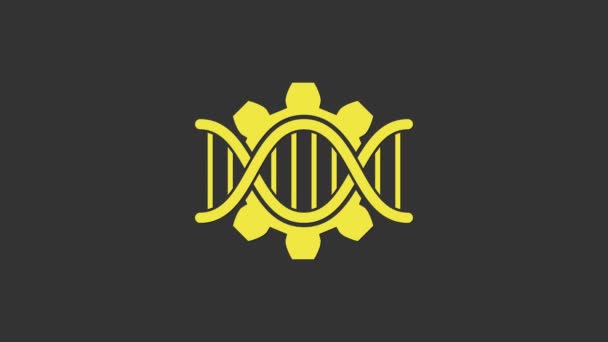 Icône de génie génétique jaune isolée sur fond gris. Analyse d'ADN, tests génétiques, clonage, tests de paternité. Animation graphique de mouvement vidéo 4K - Séquence, vidéo