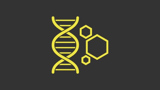 灰色の背景に単離された黄色の遺伝子工学アイコン.DNA分析、遺伝学的検査、クローニング、親の検査。4Kビデオモーショングラフィックアニメーション - 映像、動画