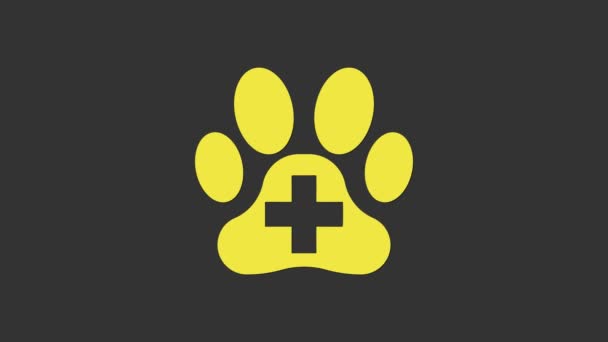 Icono símbolo de la clínica veterinaria amarilla aislado sobre fondo gris. Cruz de la señal del hospital. Un perro o gato estilizado con estampado de pata. Signo de primeros auxilios. Animación gráfica de vídeo 4K - Imágenes, Vídeo