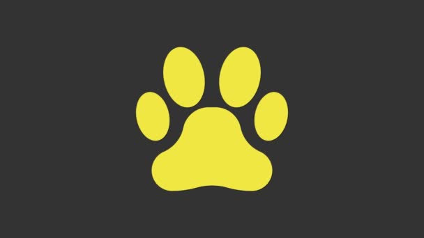 Icona stampa zampa gialla isolata su sfondo grigio. Impronta zampa cane o gatto. Traccia animale. Animazione grafica 4K Video motion - Filmati, video
