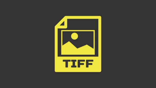 Sárga TIFF fájl dokumentum. Töltse le a Tiff gomb ikon elszigetelt szürke háttér. TIFF fájl szimbólum. 4K Videó mozgás grafikus animáció - Felvétel, videó