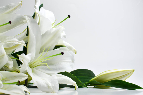 Lilies with a copy of the space on the base. - Photo, Image