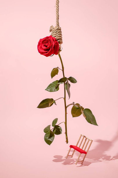 Rode roos hangt met een strop over een vallende stoel. Creatief wanhopig bloemconcept. - Foto, afbeelding