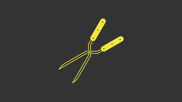 Keltainen puutarhanhoito käsintehty sakset leikkaus kuvake eristetty harmaalla pohjalla. Leikkaaminen sakset puinen kahvat. 4K Video motion graafinen animaatio - Materiaali, video