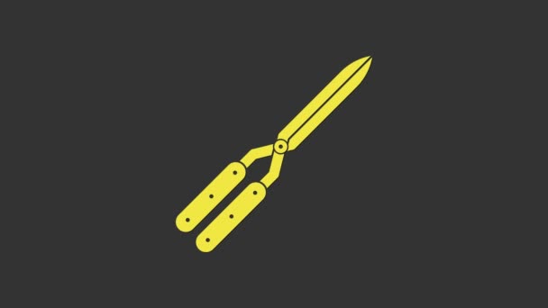 Yellow Gardening handmade scissors for trimming icon isolated on grey background. Pruning shears with wooden handles. 4K Video motion graphic animation - Footage, Video
