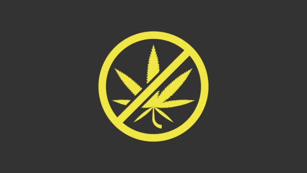 Yellow Stop μαριχουάνα ή φύλλα κάνναβης εικόνα απομονώνονται σε γκρι φόντο. Απαγορεύεται το κάπνισμα μαριχουάνας. Σύμβολο κάνναβης. 4K Γραφική κίνηση κίνησης βίντεο - Πλάνα, βίντεο