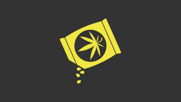 Sarı marihuana ya da esrar tohumları gri arka planda izole edilmiş bir torba ikonunda. Kenevir sembolü. Marihuana ekme süreci. 4K Video hareketli grafik canlandırması - Video, Çekim