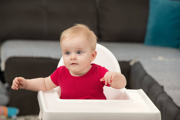 Portrait of Adorable Infant Baby Girl Sitting on the Chair - Fotó, kép