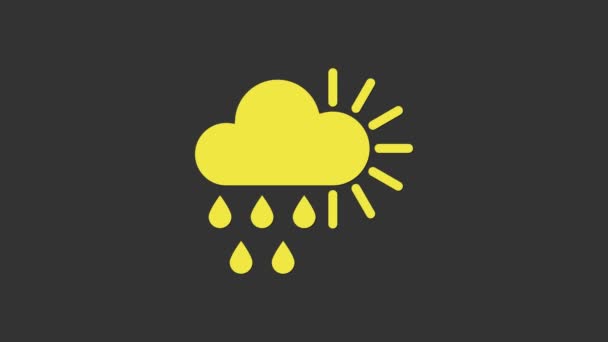 Nuageux jaune avec la pluie et l'icône du soleil isolé sur fond gris. Précipitation de nuages de pluie avec gouttes de pluie. Animation graphique de mouvement vidéo 4K - Séquence, vidéo