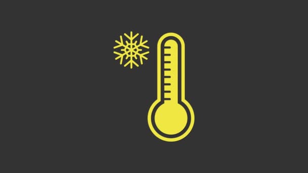 Termómetro de meteorología amarilla que mide el calor y el frío icono aislado sobre fondo gris. Equipo de termómetro que muestra clima caliente o frío. Animación gráfica de vídeo 4K - Imágenes, Vídeo