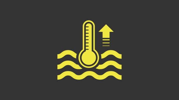 Žlutý teploměr vody měřící teplo a studenou ikonu izolované na šedém pozadí. Teploměr ukazuje teplé nebo studené počasí. Grafická animace pohybu videa 4K - Záběry, video
