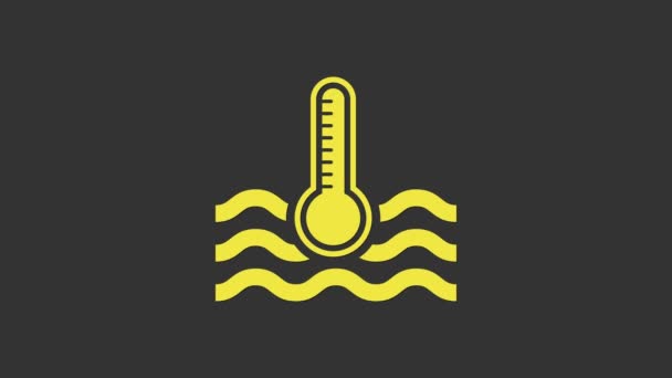 Termómetro de agua amarilla que mide el calor y el frío icono aislado sobre fondo gris. Equipo de termómetro que muestra clima caliente o frío. Animación gráfica de vídeo 4K - Imágenes, Vídeo