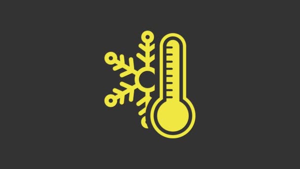 Žlutý teploměr s ikonou sněhové vločky izolovaný na šedém pozadí. Grafická animace pohybu videa 4K - Záběry, video