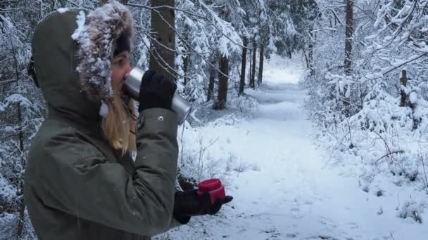 Alberi ricoperti di neve - Filmati, video