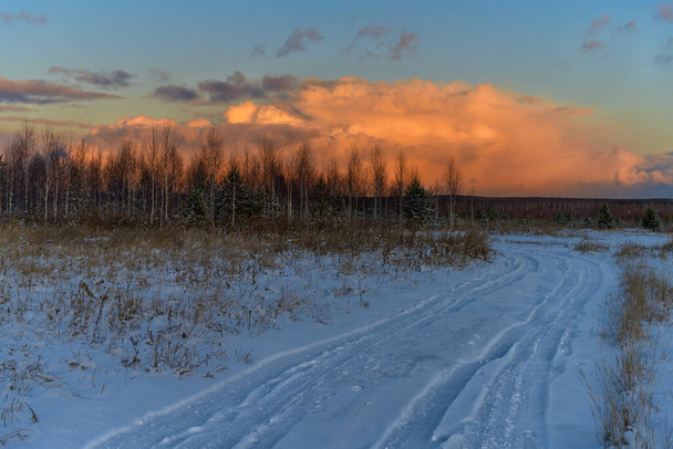 Paysage hivernal avec ornières menant à l'horizon, grands arbres dans un espace ouvert et un beau ciel couchant avec un grand nuage en forme de tas, peint en nuances orange. Frosty hiver journée ensoleillée  - Photo, image