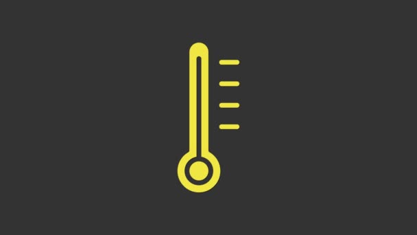 Ícone de medição do termômetro de meteorologia amarela isolado em fundo cinza. Equipamento termômetro mostrando clima quente ou frio. Animação gráfica em movimento de vídeo 4K - Filmagem, Vídeo