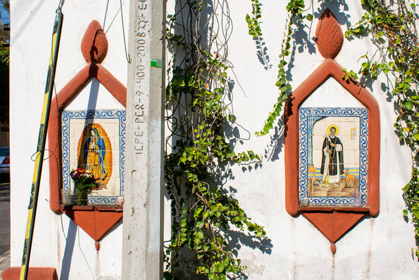 登山植物に囲まれた白い壁に宗教的なイメージ - 写真・画像