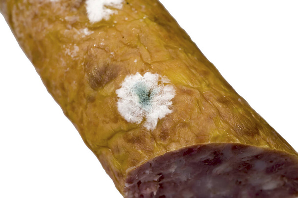 Smoked sausage covered with mold. Colony of Penicillium fungus on the sausage surface - Photo, Image