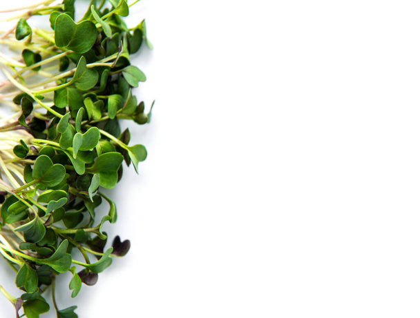 Mikro-Grüns auf weißem Hintergrund. Gesunde und frische Biolebensmittel, Restaurantkonzept. Ansicht von oben, Kopierraum - Foto, Bild
