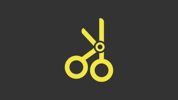 Ciseaux médicaux jaunes icône isolée sur fond gris. Animation graphique de mouvement vidéo 4K - Séquence, vidéo