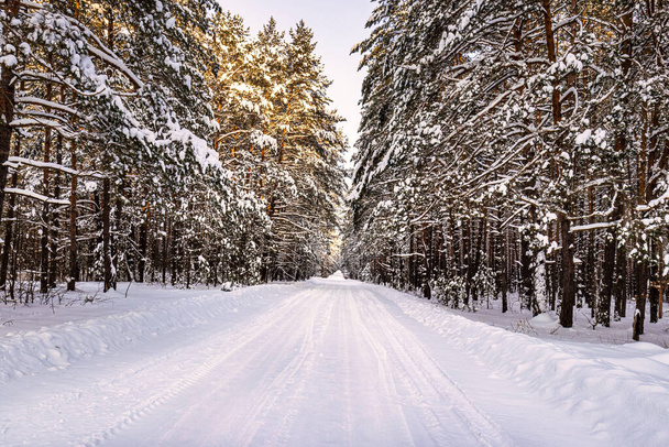 Automobile road through a pine winter forest covered with snow on a clear sunny day. Pines along the edges of the road. - Fotó, kép