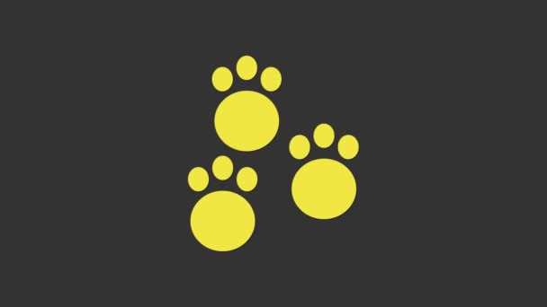 Icona stampa zampa gialla isolata su sfondo grigio. Impronta zampa cane o gatto. Traccia animale. Animazione grafica 4K Video motion - Filmati, video
