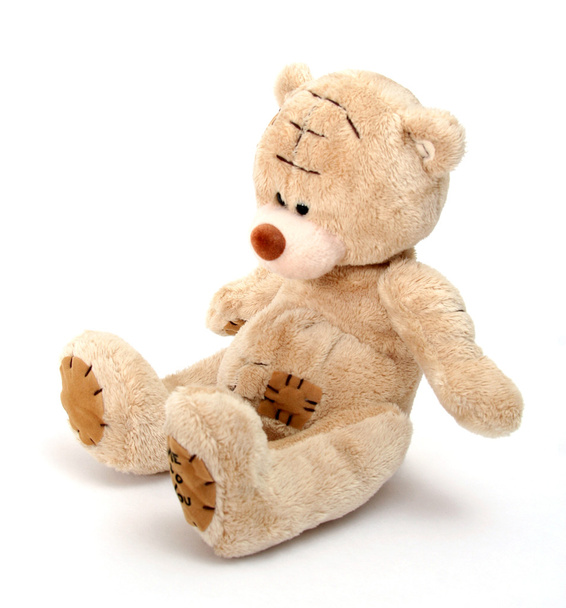teddy bear - Foto, imagen