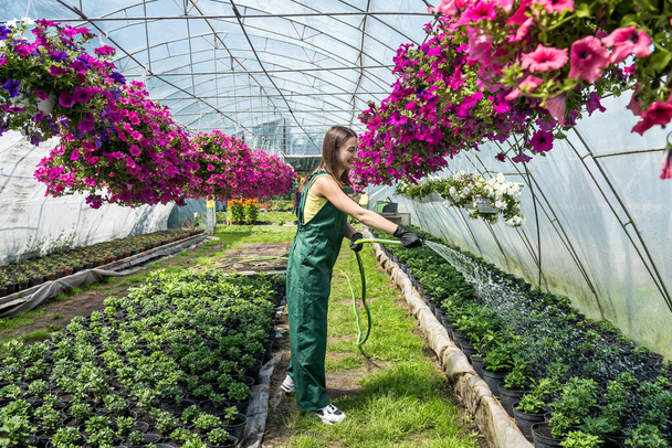 Female florist watering different flowers in greenhouse. Lifestyle. Beauty in nature - Photo, Image