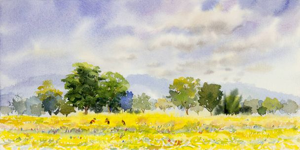Aquarel landschap schilderen panorama kleurrijk van natuurlijke schoonheid ricefield bomen en boerderij bos met zonsopgang, hemel wolk achtergrond in de natuur herfst seizoen. Geschilderde impressionist, illustratie afbeelding. - Foto, afbeelding