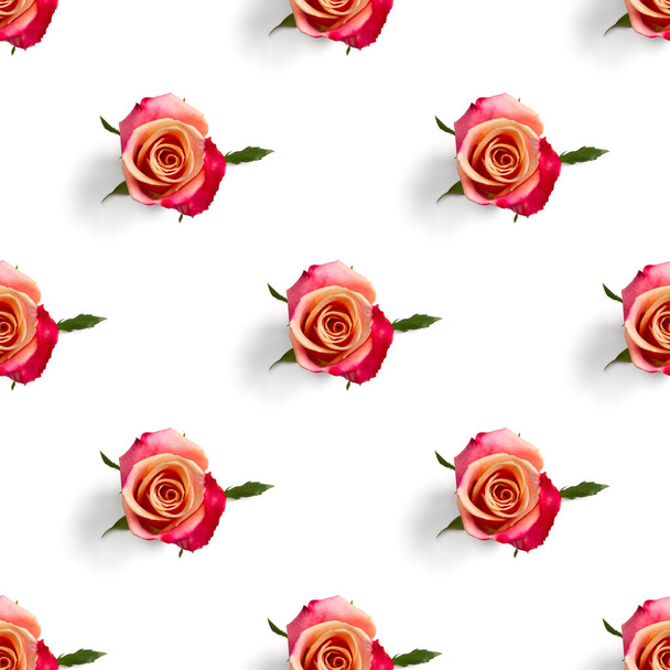 Modèle sans couture Rosebud. tête de fleur de rose isolée sur motif blanc, pop art - Photo, image