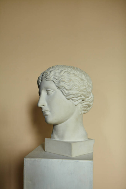 White gypsum statue head. Plaster head bust.  - Photo, Image